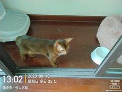 -重庆轻喜到家家政保洁