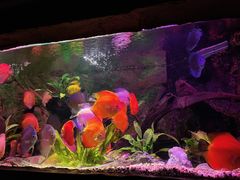 -上海海洋水族馆