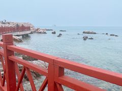 -养马岛旅游度假区