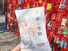 -香山公园