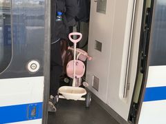-深圳坪山站