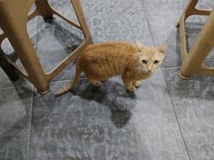 -江南红鱼汤(洋中花园店)