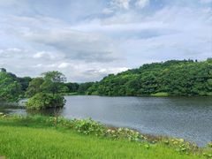 -福建鲤鱼洲酒店