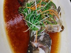 青斑-龙禧渔村酒楼