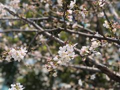 -西北湖绿化广场