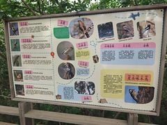 -妙峰山风景名胜区