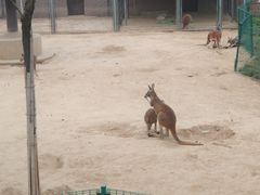 -石家庄市动物园