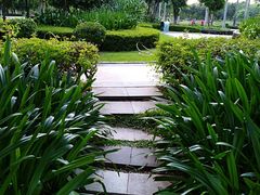 -万绿园