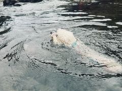 -安吉龙王山峡谷漂流