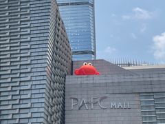 -平安金融中心云际观光层