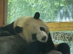 -云南野生动物园
