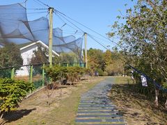 -鄱阳湖国家湿地公园