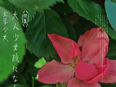 -上海滨江森林公园
