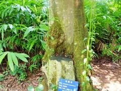 -放鸡岛生态旅游国际度假区