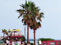 -柳湖沙月沙滩公园