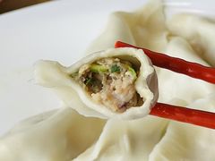 -菊花女水饺(闻涛苑店)