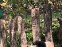 -广州长隆野生动物世界