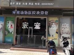 -宠宠动物医院(金鸡岭街店)