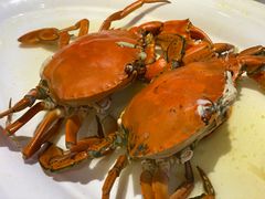 -新海利海鲜城·41年珠海老字号(夏湾店)