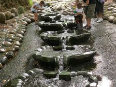 -成都市活水公园
