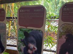 -长鹿旅游休博园