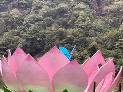 -花溪风景区
