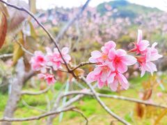 -小南山公园