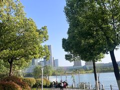 -天鹅湖体育公园