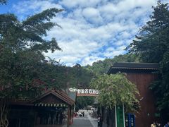 -野象谷景区