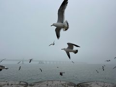 -星海广场