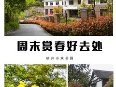-西湖风景区-江洋畈生态公园