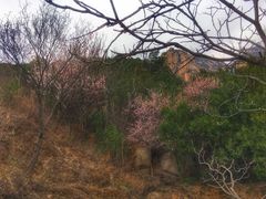 -北京凤凰岭