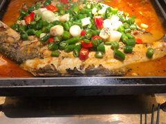 海鲈鱼-炉鱼(萧山万象汇店)