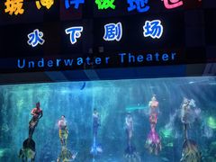 -泉城欧乐堡海洋极地世界