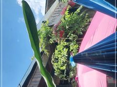 -生态苑农庄(十里画廊遇龙河店)