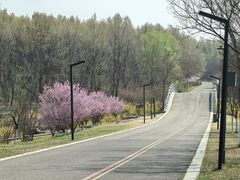 -江苏三台山国家森林公园