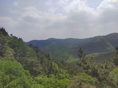 -金龙寺国家森林公园