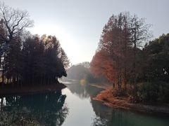 -贡湖湾湿地公园