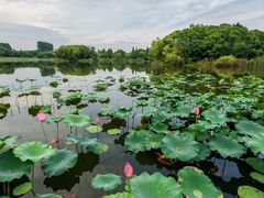-上海市保健医疗中心