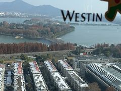 -湖景知味西餐厅•自助餐• 轻食(南京金茂威斯汀大酒店)