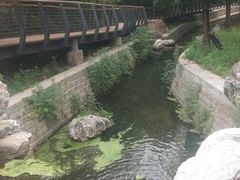 -白水寺森林公园