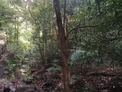 -广东温泉宾馆