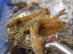 -盒马鲜生(岭南新世界店)