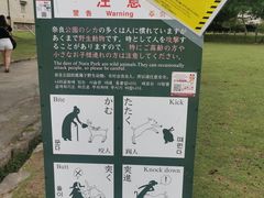 -奈良公园