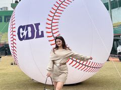 -广州天河体育中心-棒垒球场