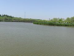 -西青郊野公园