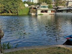 -荔湾湖公园
