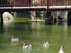-香山小厨(南联路店)