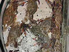 -老虎滩船说·大连海鲜(老虎滩店)