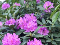 -名花谷生态庄园